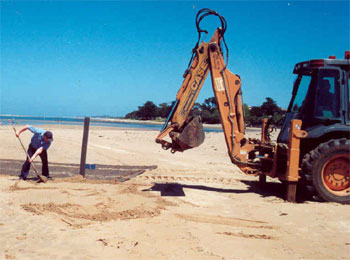 Council officers install the new mammoth mat at Inverloch