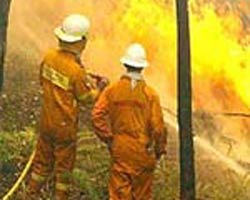 Have you seen the light?